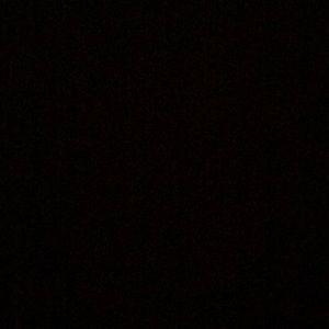 Meet your Posher, Dominique